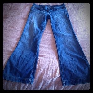 7 for All Mankind Dojo Jean